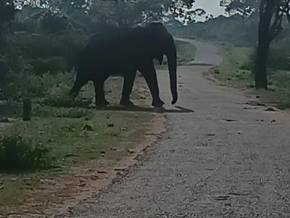 Duncan Murray Villa Hambantota Buitenkant foto